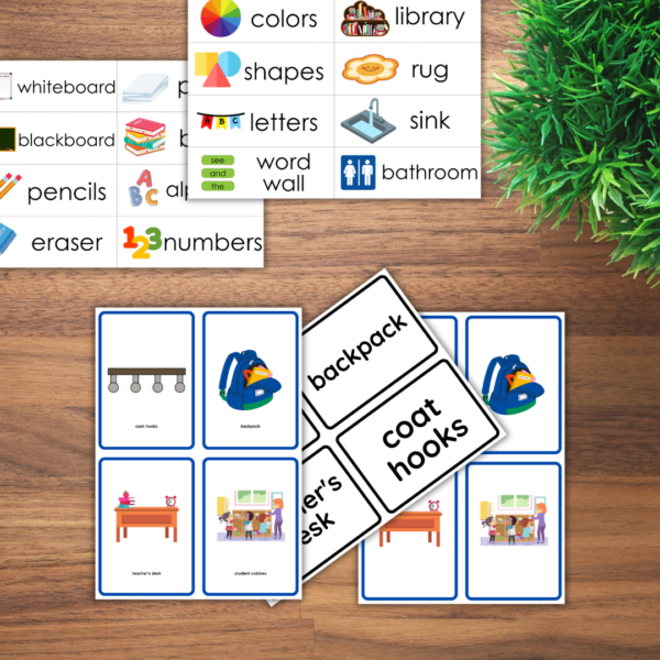 Vocabulary Flashcards and Labels